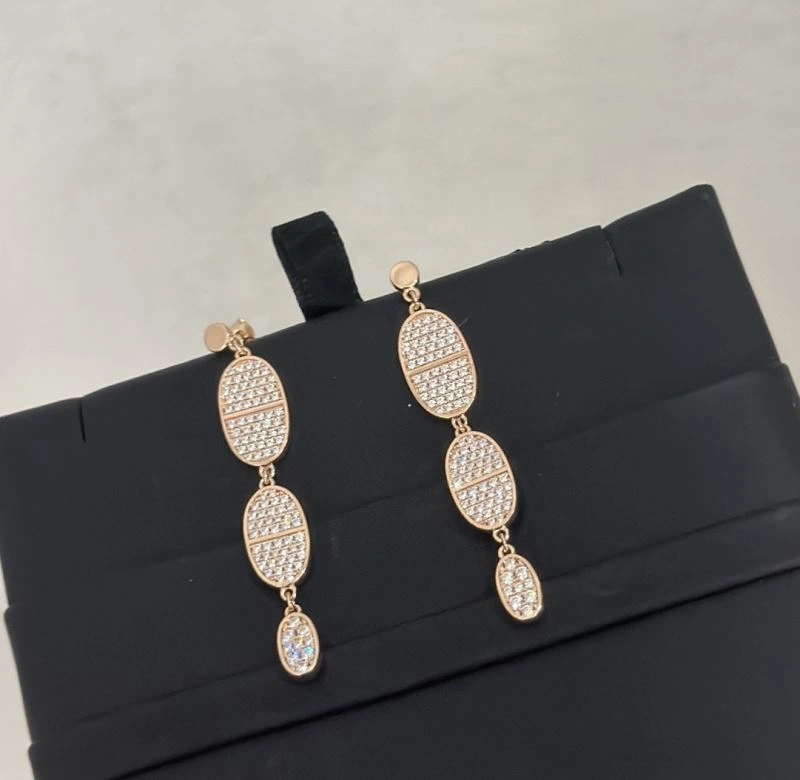 GoodFit Hermes Earrings 247578