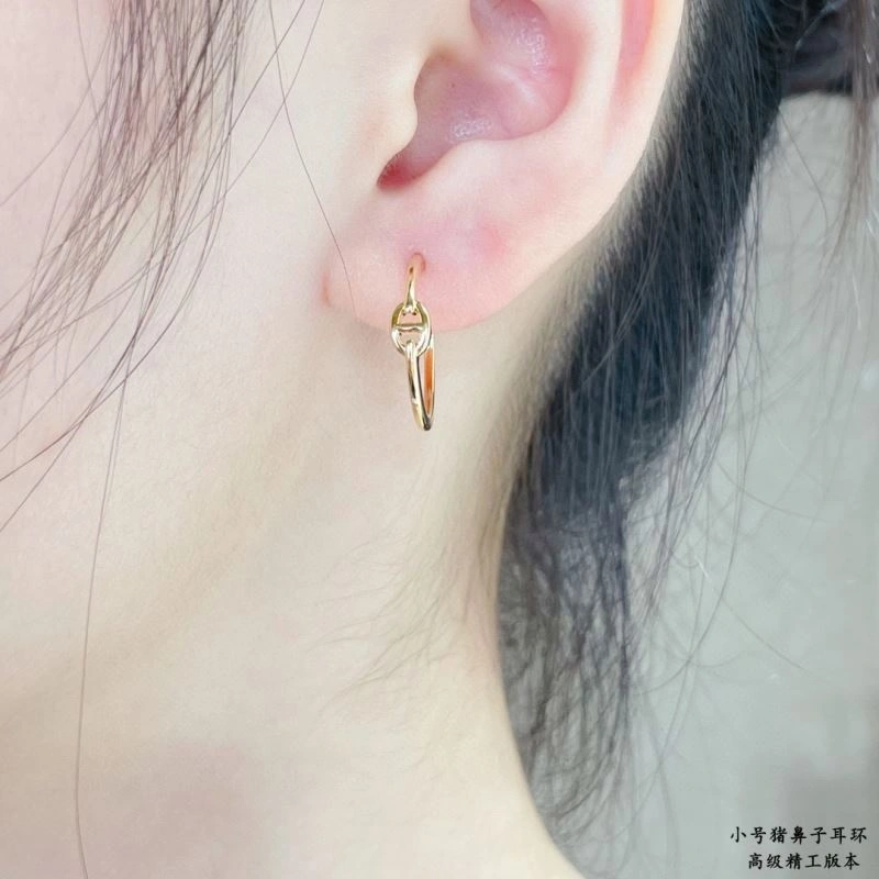 Reliable Hermes Earrings 247499