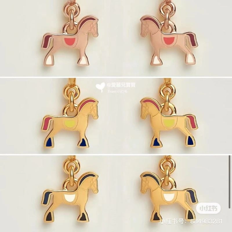 Supportive Hermes Earrings 247300