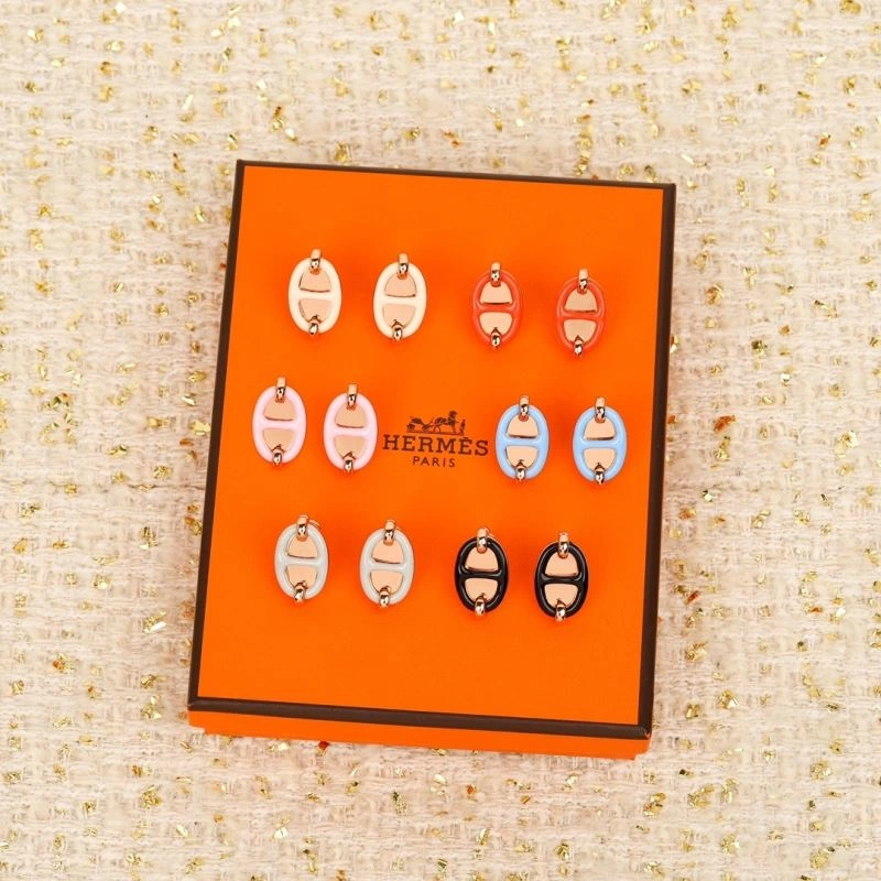 Colorful Hermes Earrings 247217