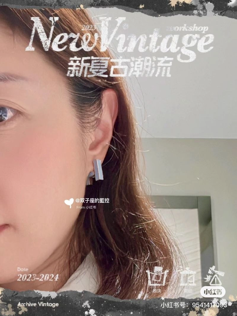 Snug Hermes Earrings 247208