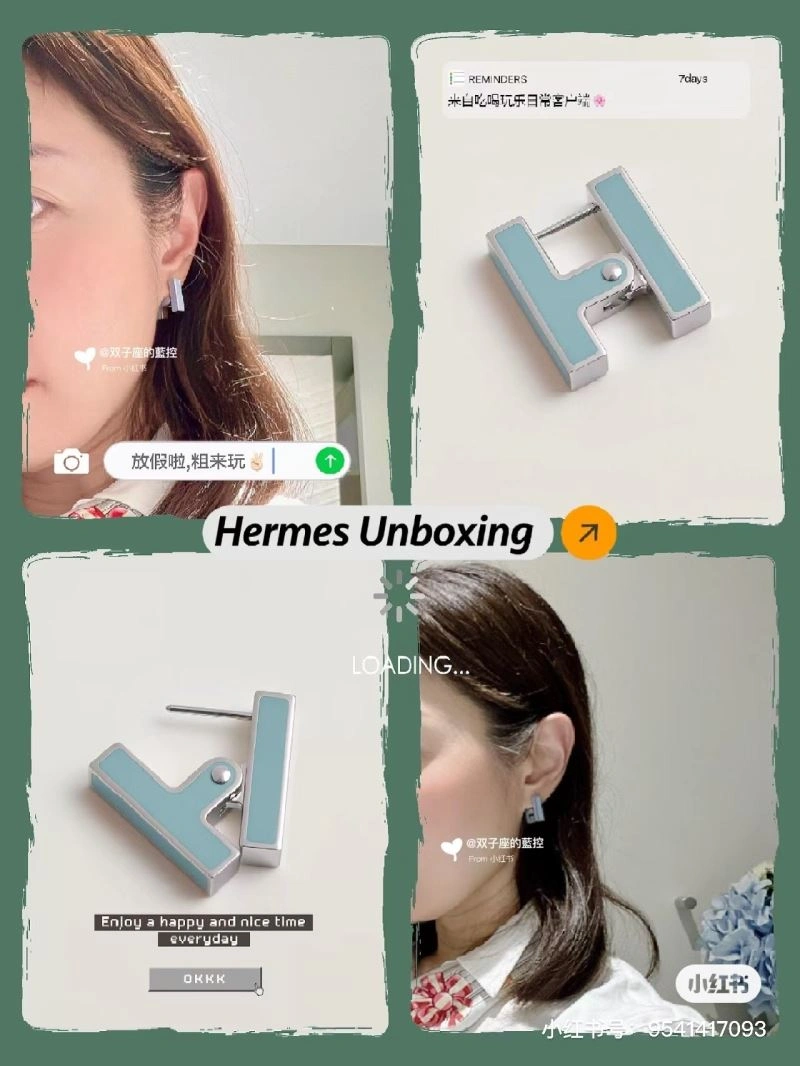 Snug Hermes Earrings 247208