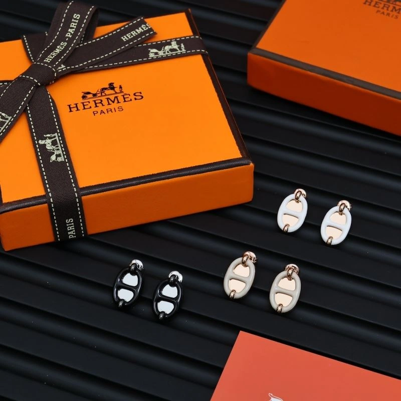 WellDesigned Hermes Earrings 247190