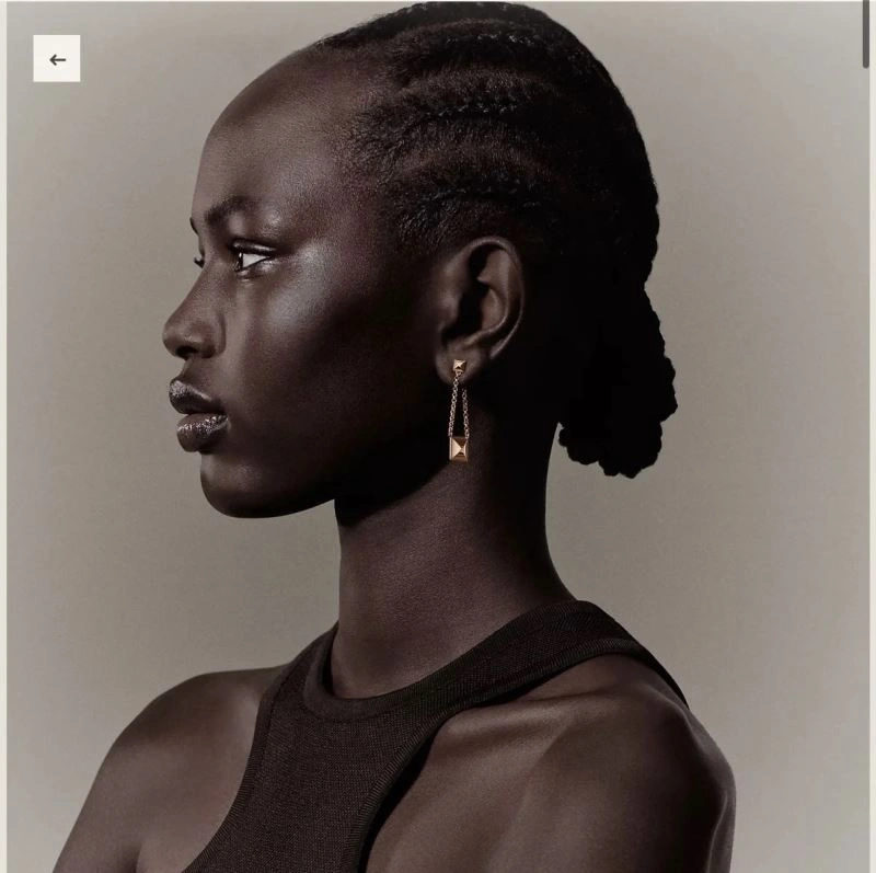 Unisex Hermes Earrings 247155