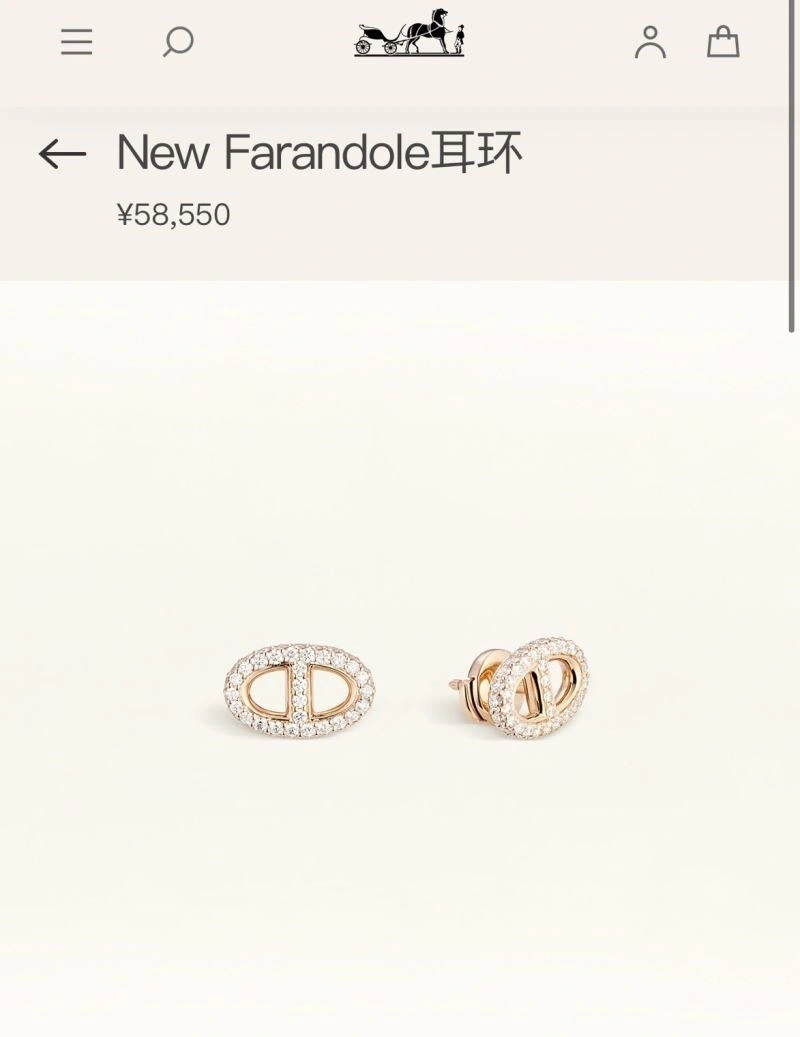 UrbanChic Hermes Earrings 247079