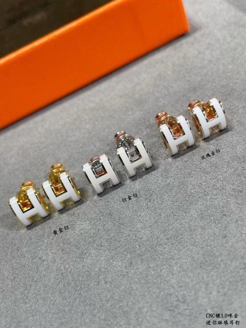 Hermes Earrings Colorful 247064