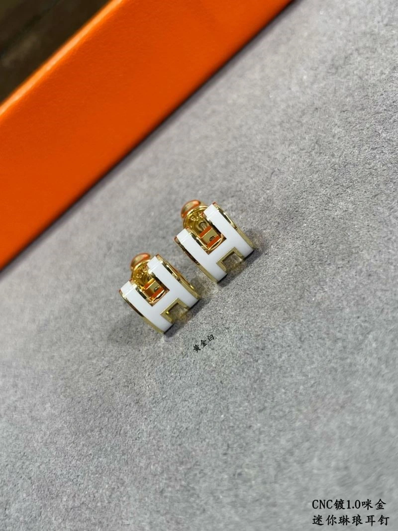 Hermes Earrings Colorful 247064