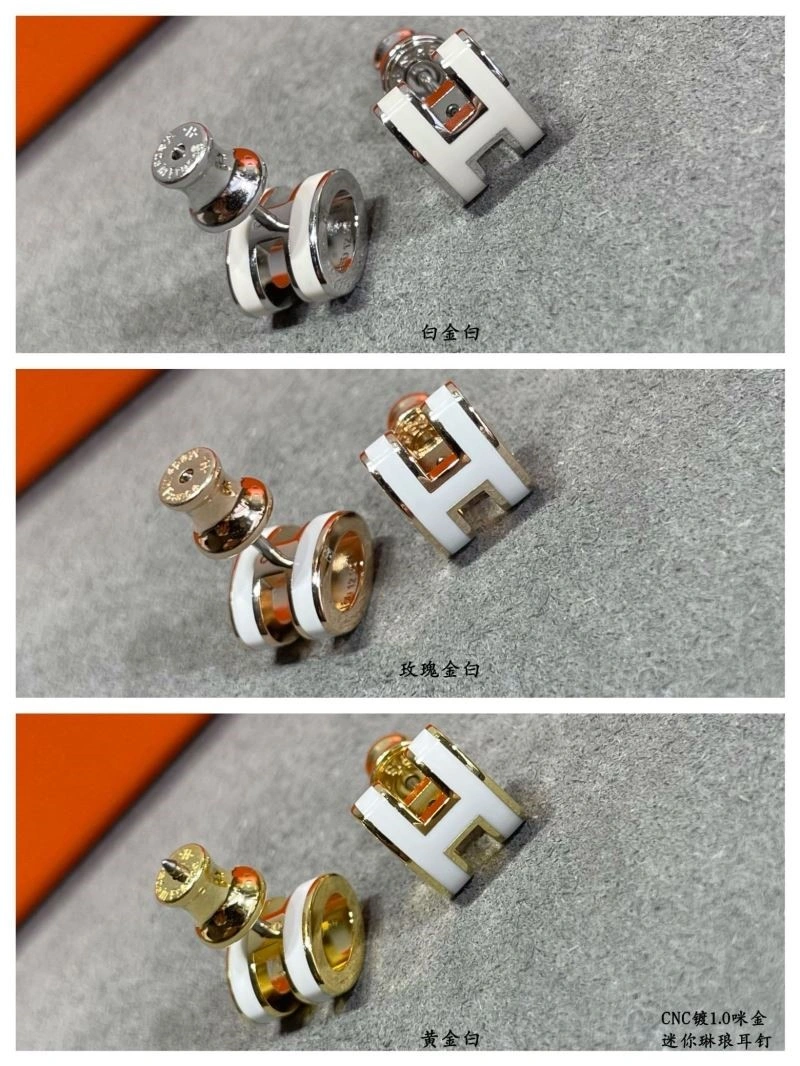 Hermes Earrings Colorful 247064