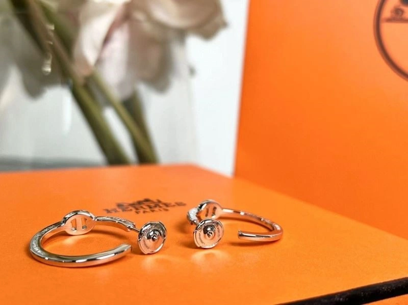 SportInspired Hermes Earrings 247055