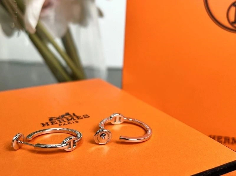 SportInspired Hermes Earrings 247055