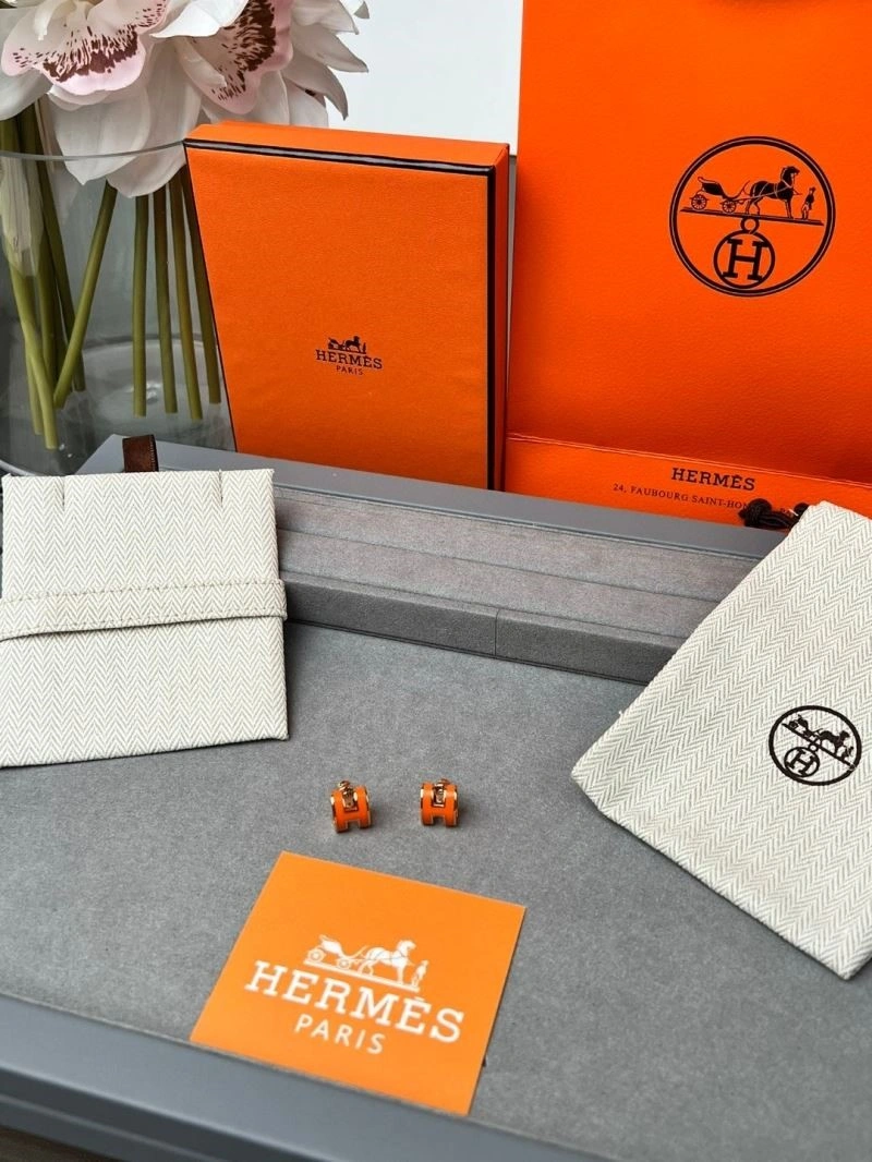 Hermes Earrings MultiPurpose 246919