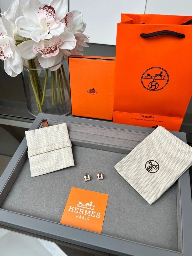 Snug Hermes Earrings 246920
