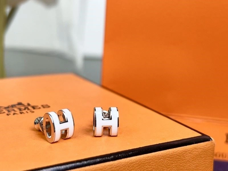 Sleek Hermes Earrings 246917
