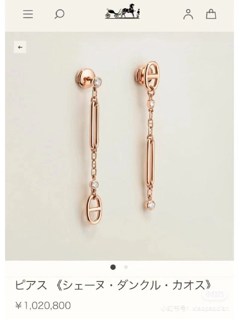 Hermes Earrings HighPerformance 246911