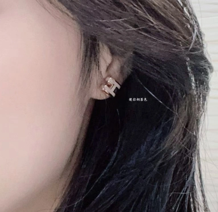 Durable Hermes Earrings 246836