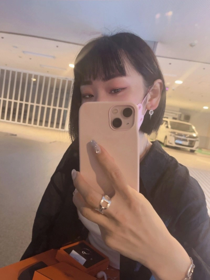 Hermes Earrings HighQuality 246798