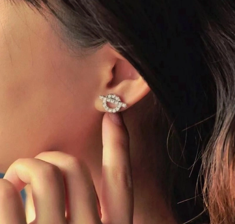 DailyWear Hermes Earrings 246784
