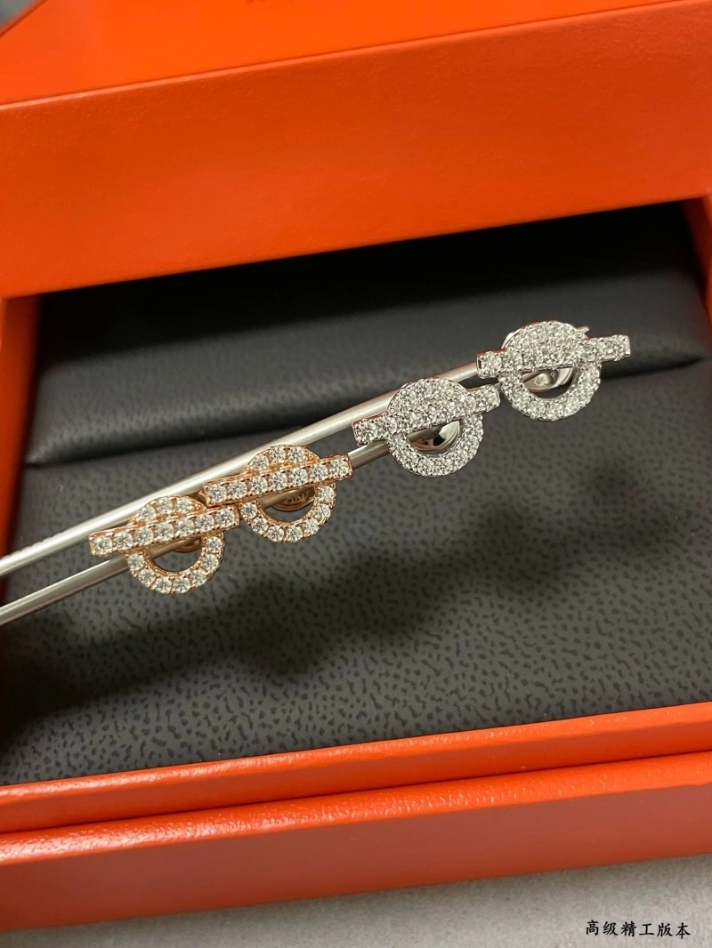 DailyWear Hermes Earrings 246784