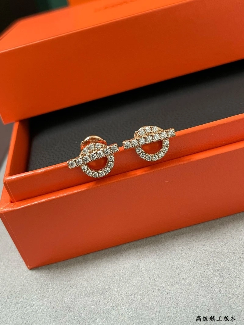 DailyWear Hermes Earrings 246784