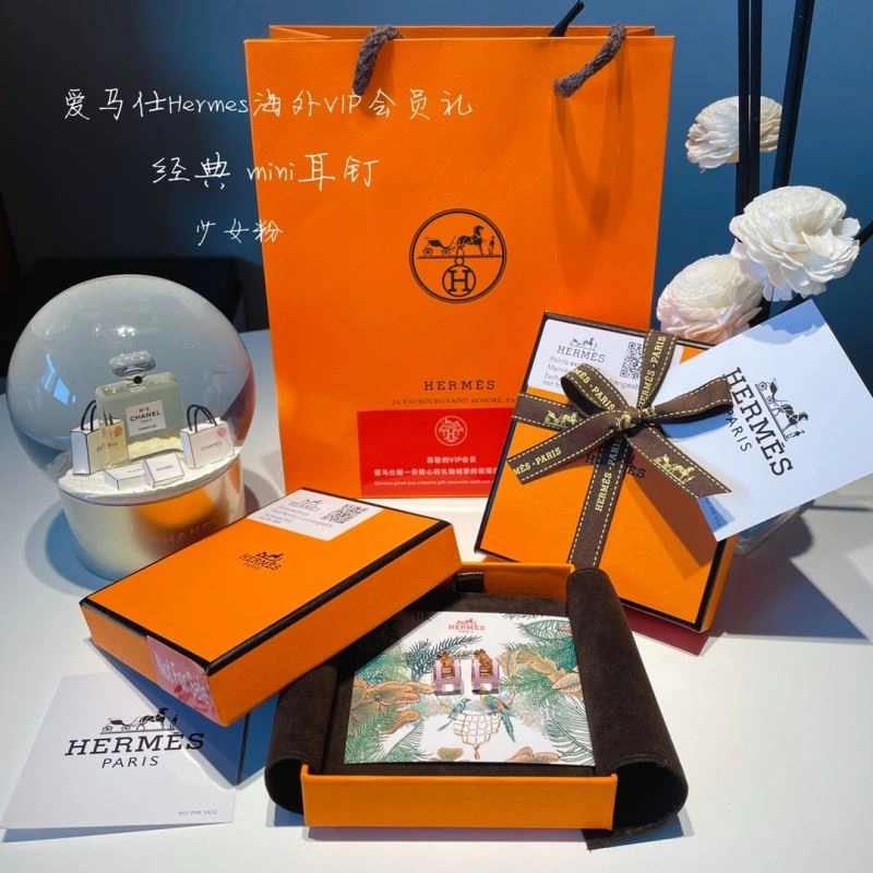 Hermes Earrings Attractive 262769