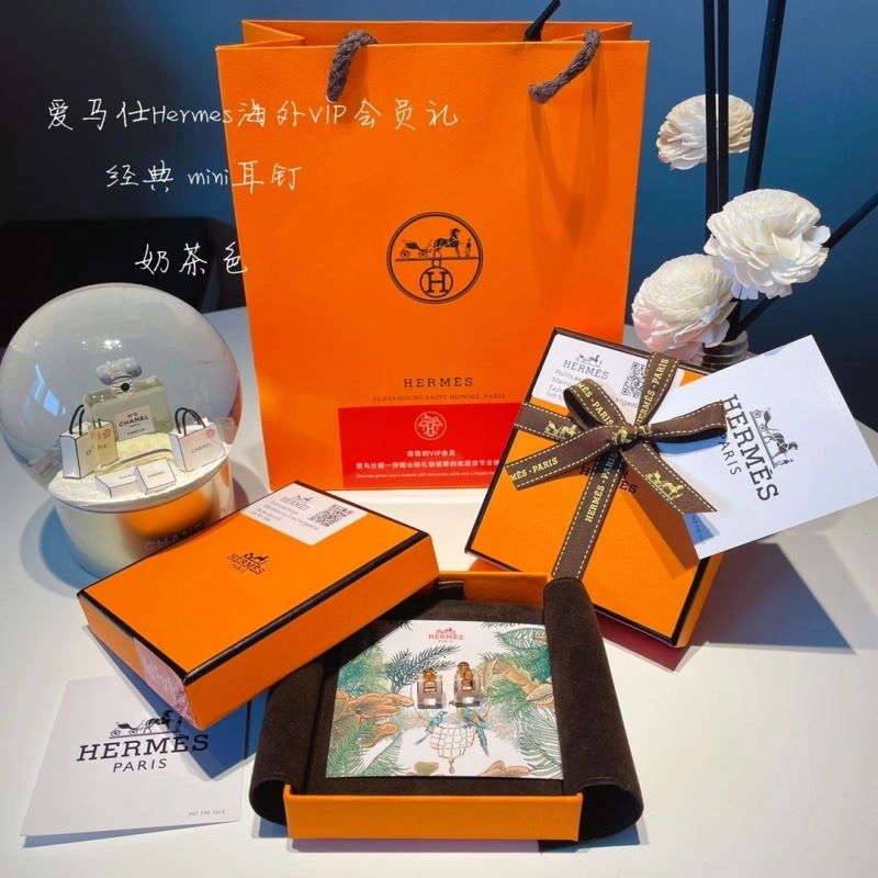 Breathable Hermes Earrings 262776
