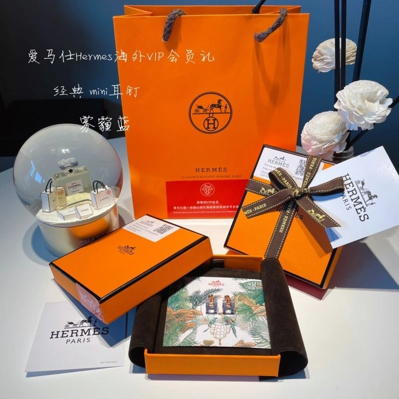 Hermes Earrings GoodFit 262759