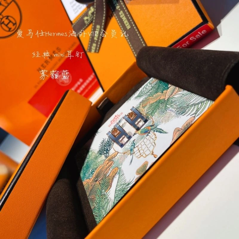 Hermes Earrings GoodFit 262759