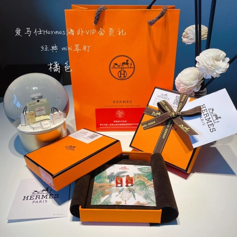 Hermes Earrings UrbanChic 262760