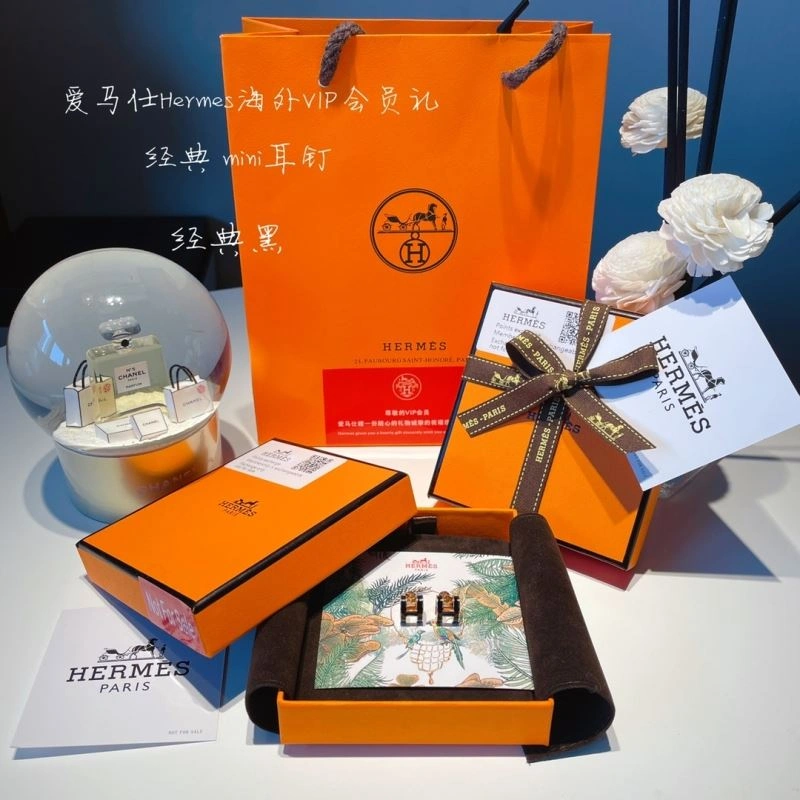 Hermes Earrings Classic 262764