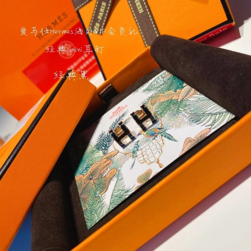 Hermes Earrings Classic 262764