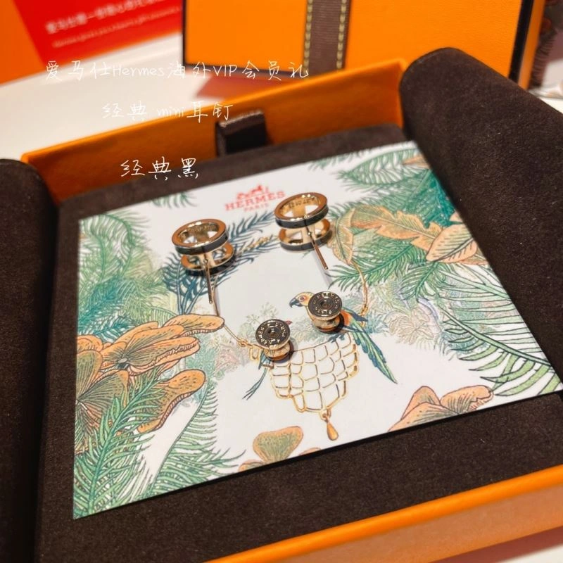 Hermes Earrings Classic 262764