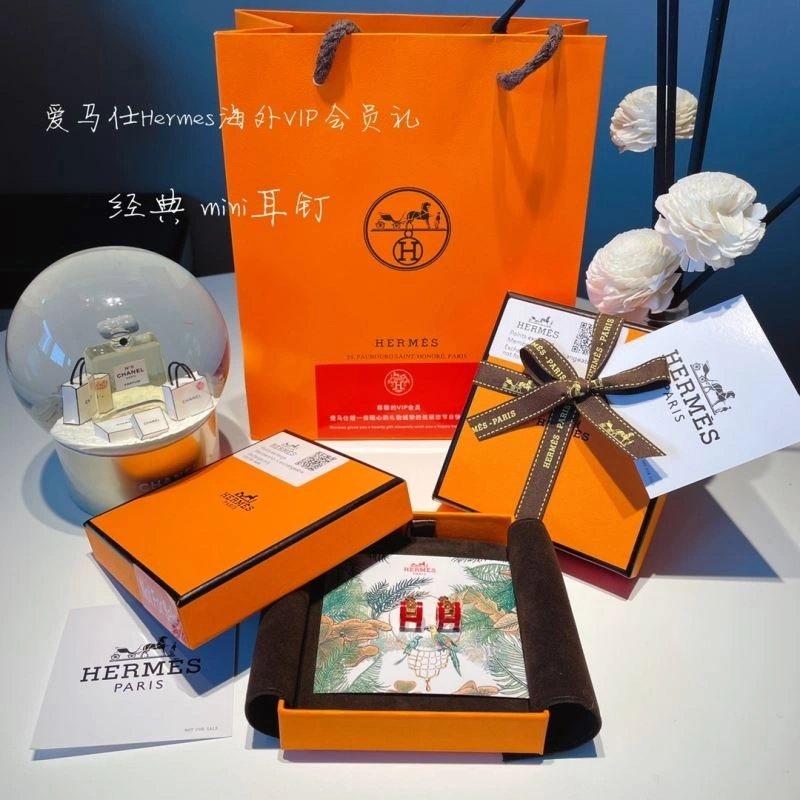 Hermes Earrings FlexibleFit 262761