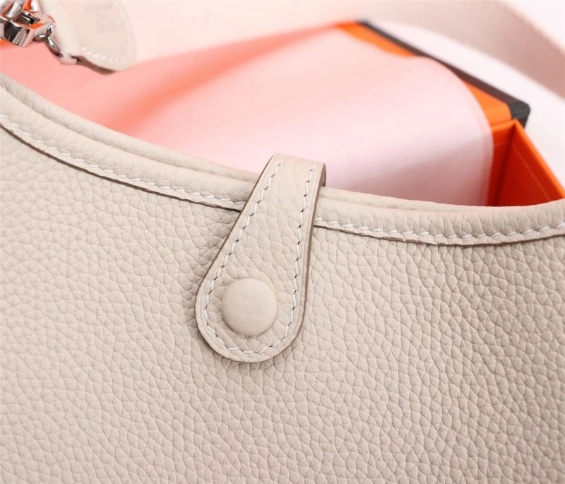 Colorful Hermes Evelyn Bags 90157