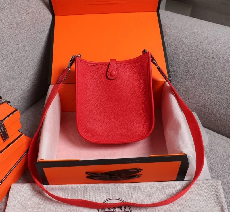 Unique Hermes Evelyn Bags 89509