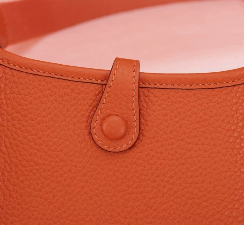 Hermes Evelyn Bags Practical 89499