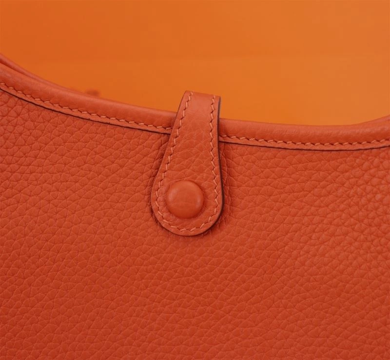 Hermes Evelyn Bags Elegant 89500