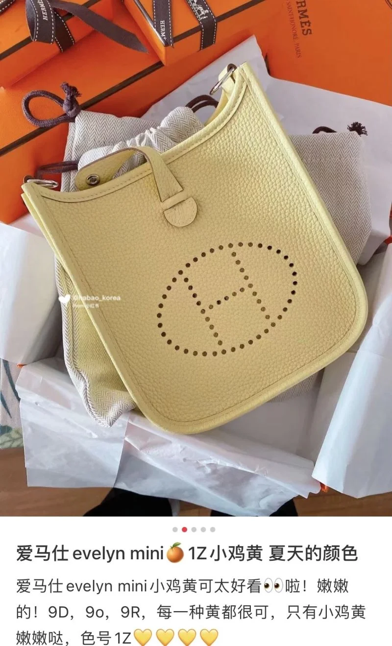 Hermes Evelyn Bags AllSeason 48280