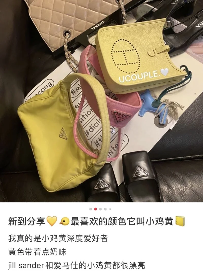 Hermes Evelyn Bags AllSeason 48280