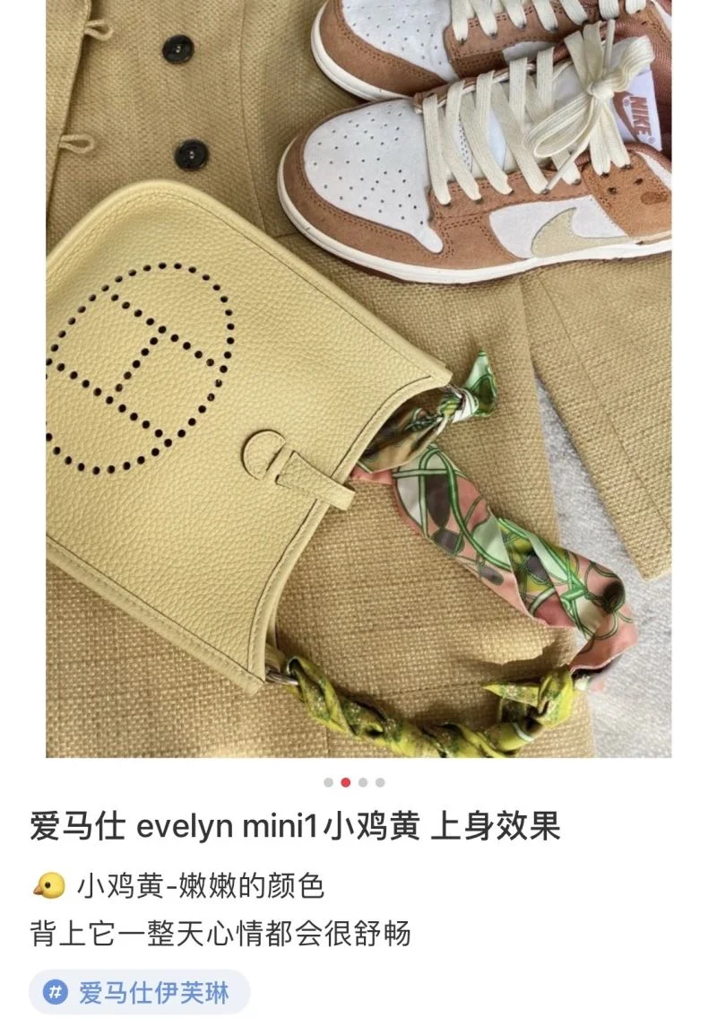 Hermes Evelyn Bags AllSeason 48280