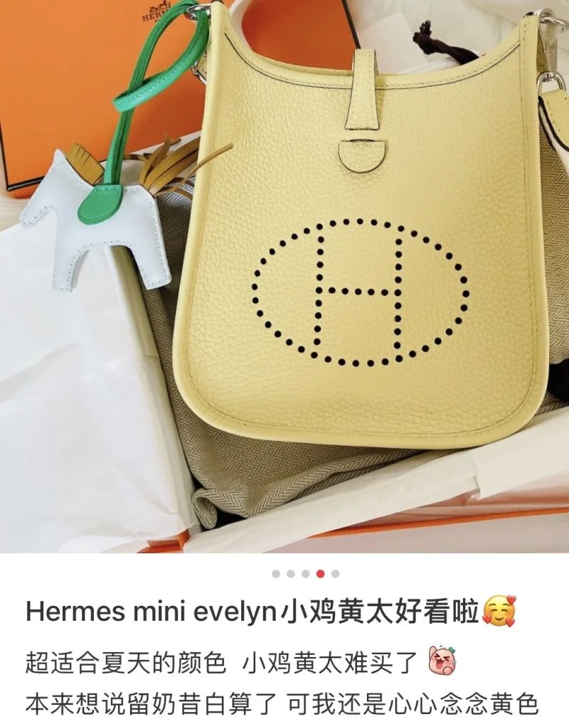 Hermes Evelyn Bags AllSeason 48280