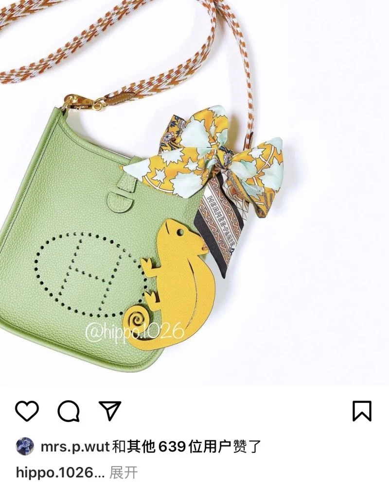 Attractive Hermes Evelyn Bags 48260