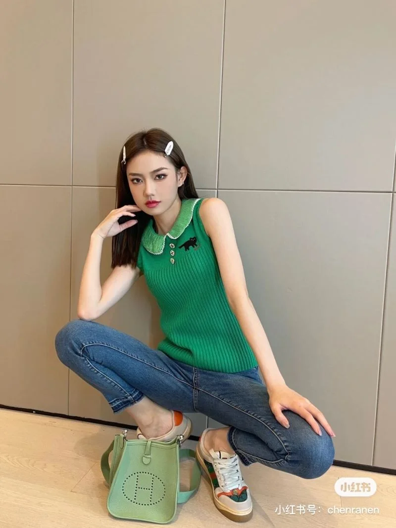 Attractive Hermes Evelyn Bags 48260
