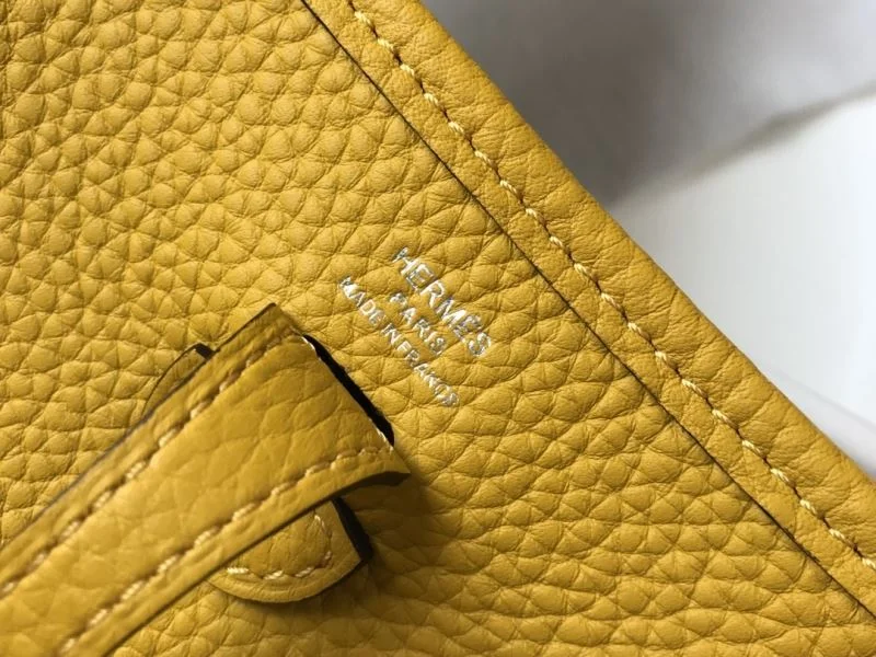 Hermes Evelyn Bags Original 48259