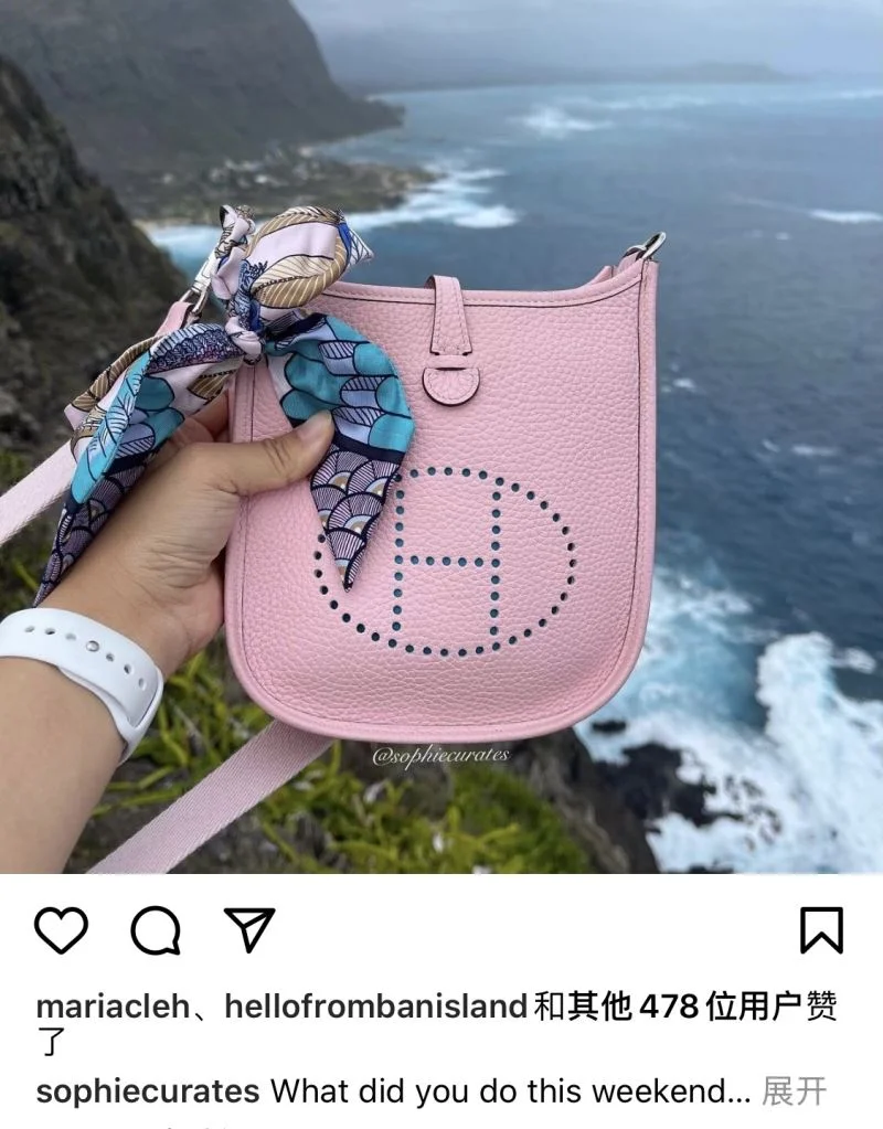 Comfortable Hermes Evelyn Bags 48263
