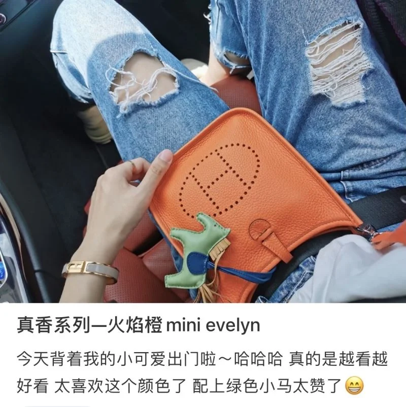 Durable Hermes Evelyn Bags 48256