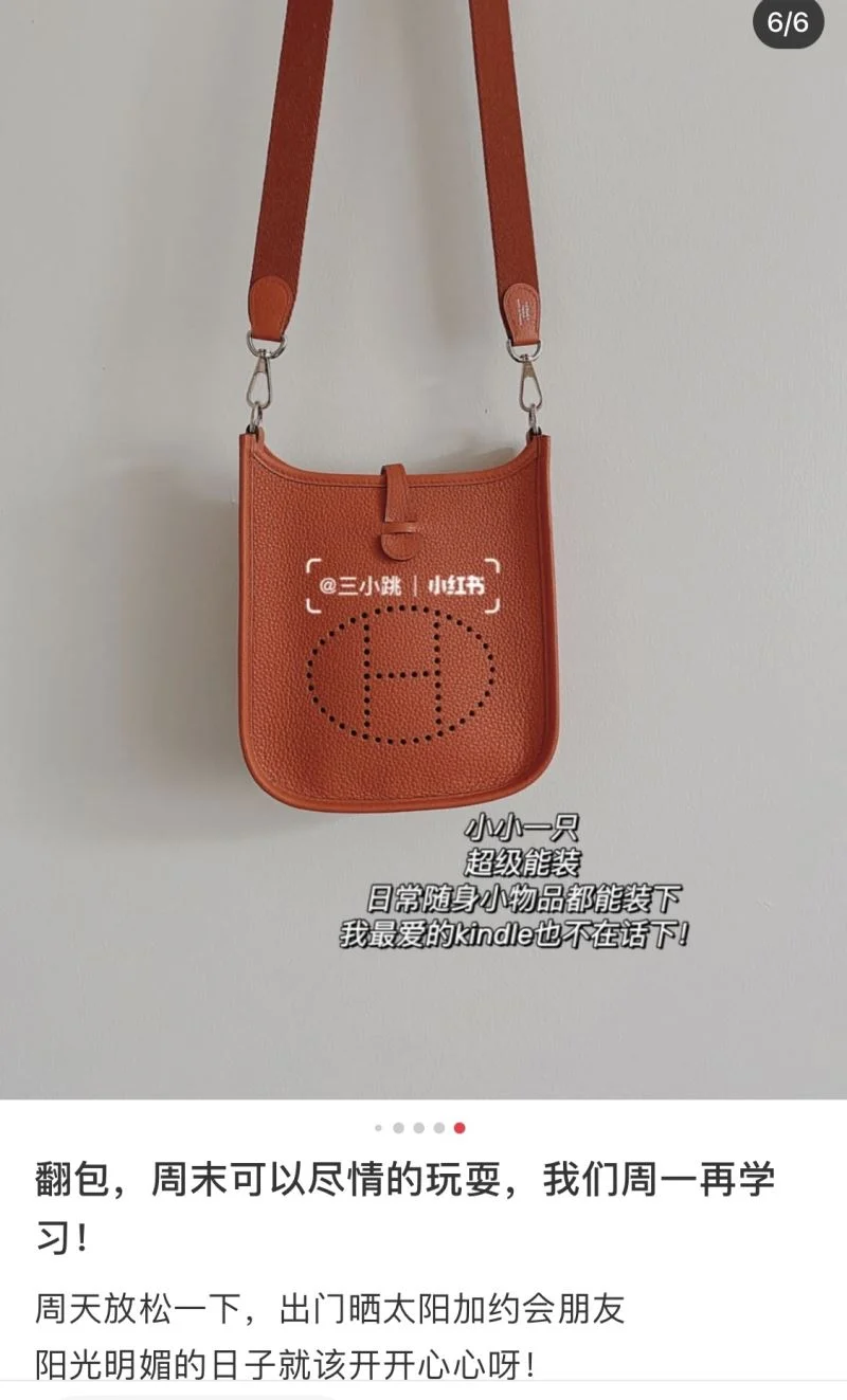 Durable Hermes Evelyn Bags 48256