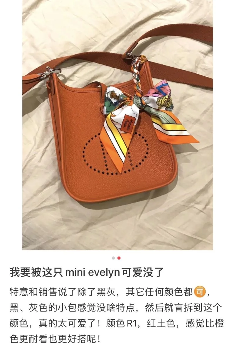 Durable Hermes Evelyn Bags 48256
