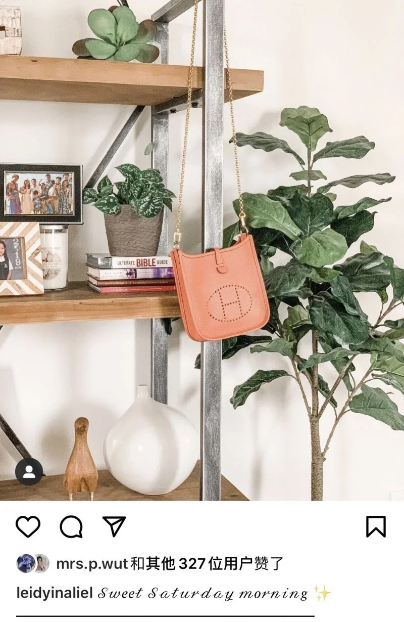 Durable Hermes Evelyn Bags 48256