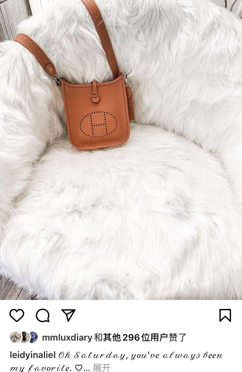 Durable Hermes Evelyn Bags 48256