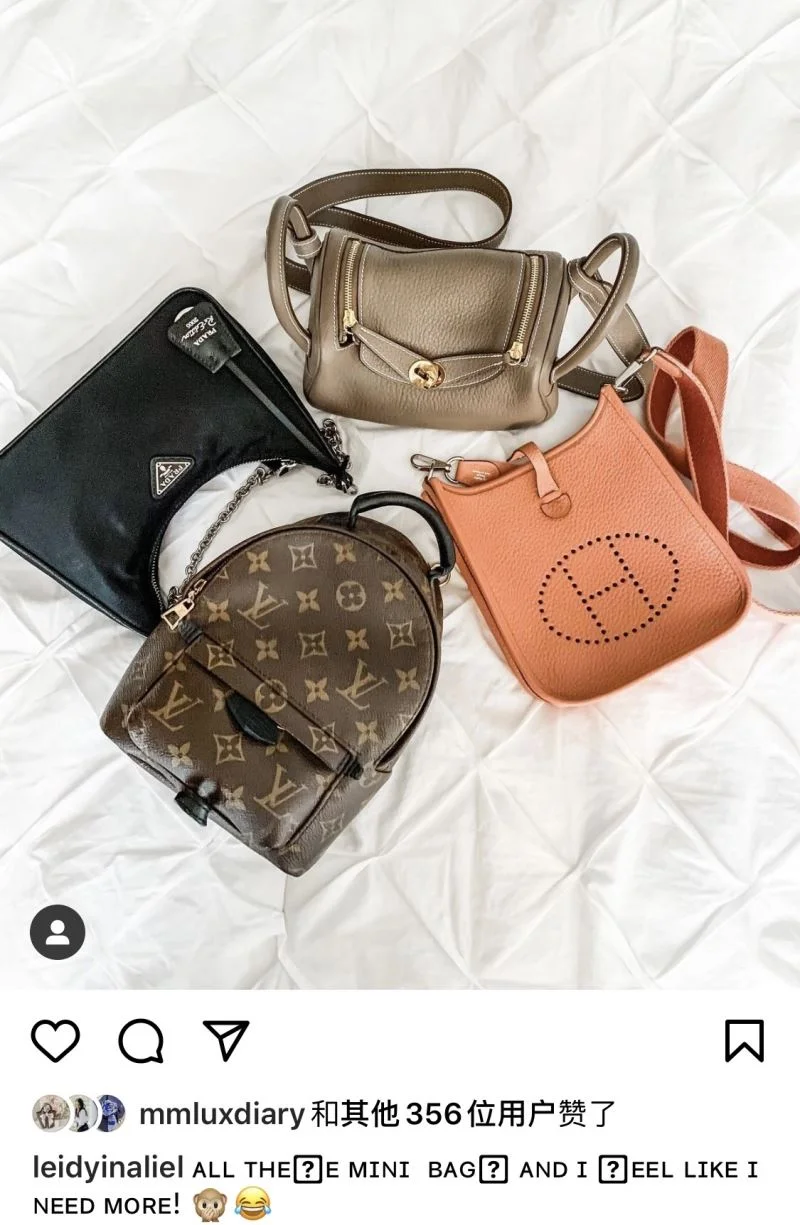 Durable Hermes Evelyn Bags 48256